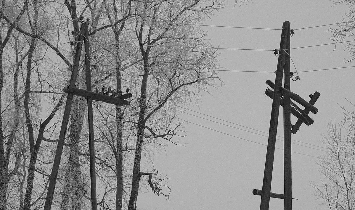 Old telegraph line posts in front of trees, somewhere near Zaraysk, Moscow Oblast