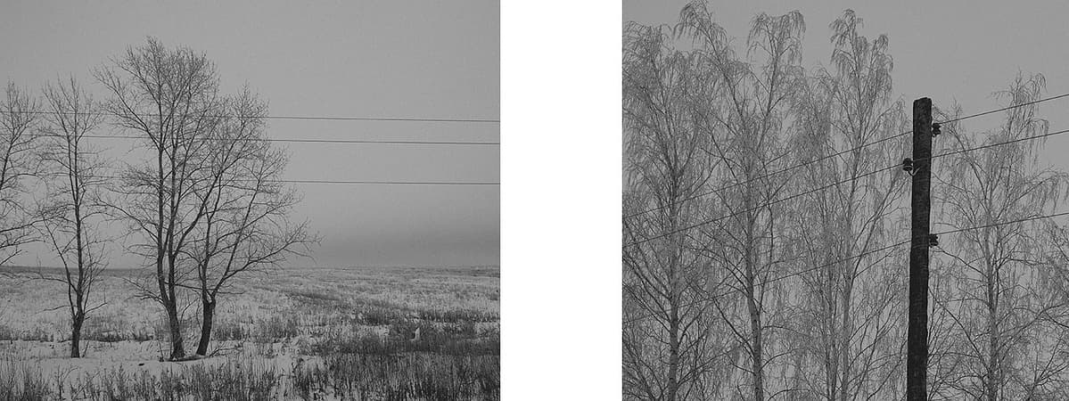 Left and right: Old telegraph line in front of trees, somewhere near Zaraysk, Moscow Oblast.